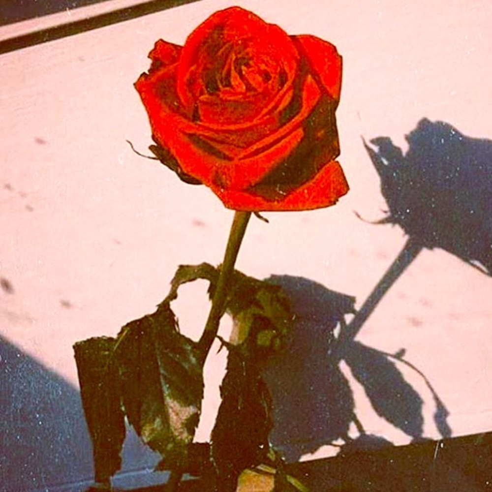 Meet your Posher❤️